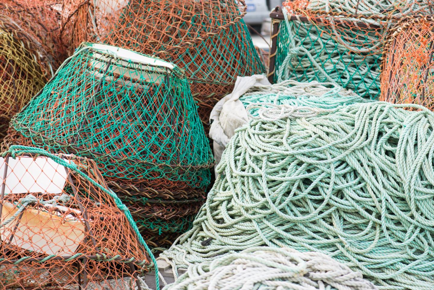Right Kind of Collaboration is Key to Solving Environmental Problems