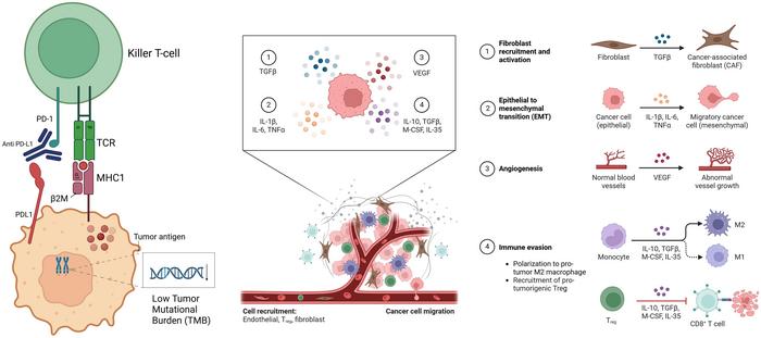 Mechanisms of immunotherapy resistance in MSS CRC
