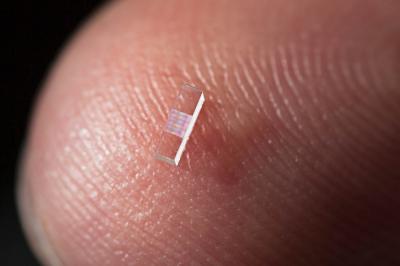 Accelerator on a Chip, Up Close