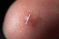 Accelerator on a Chip, Up Close