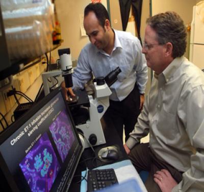 Mohamed A. Saleh and Dr.David Pollock, Medical College of Georgia