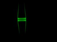 Light Bottle