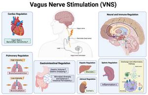 Graphical Abstract: Review Maps Today’s Science, Points to Tomorrow’s Therapies
