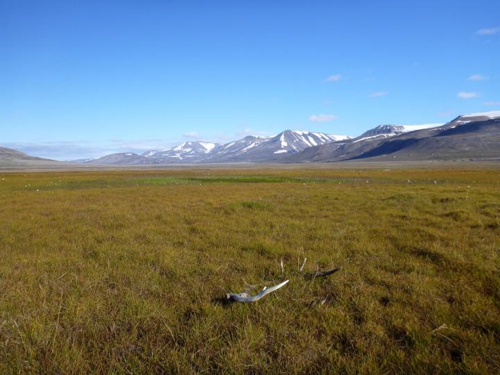 Svalbard