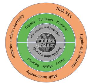 From waste to resource: TCM herb residue-derived biochar as a multifunctional material for environmental remediation