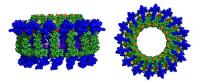 Assembled Biohybrid Light-Harvesting Antennas