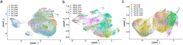 UMAP visualization of cancer subtypes