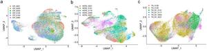 UMAP visualization of cancer subtypes