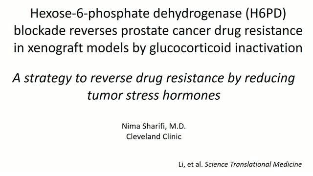 Researchers Identify New Drug Target  for Treating Aggressive Prostate Cancer