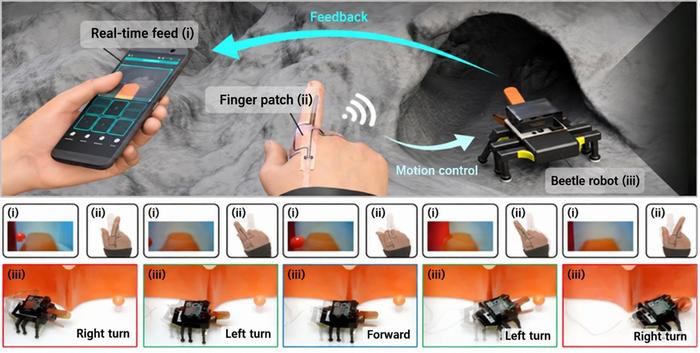 KAIST Develops a Beetle-Inspired Soft Robot That Operates with Artificial Muscles and Sensory Feedback
