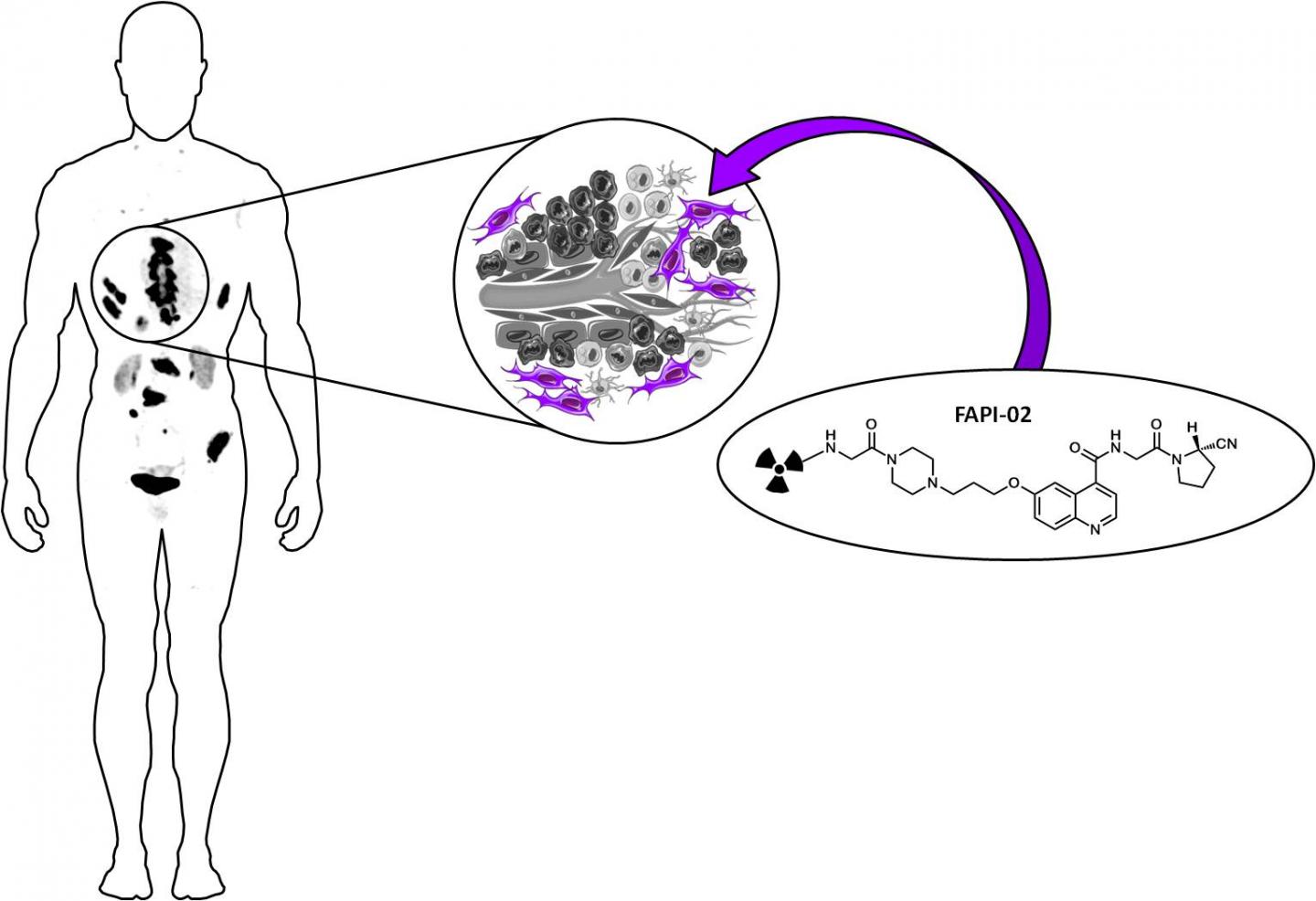 Novel Radiolabeled Small Molecules