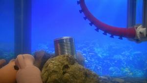 THE ROBOTIC ARM INSPIRED BY THE OCTOPUS