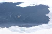 Narwhals Pod