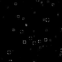 Protein-RNA vesicles (polarization microscopy)