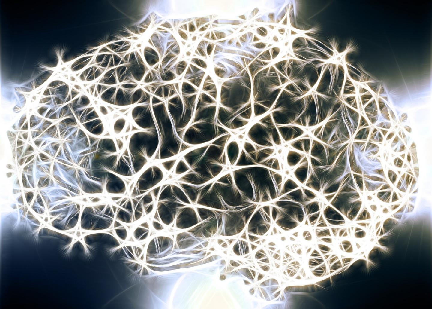 Training Changes the Way the Brain Pays Attention