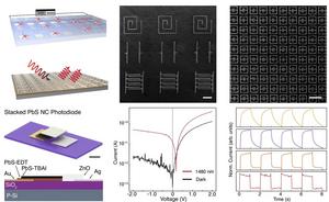Printed microelectrode