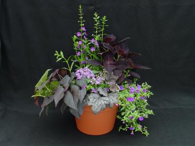 Americans Hard to Contain on Potted Plant Expenditures (1 of 3)