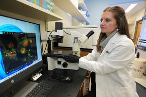 Fishel lab