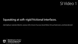shoe_interface