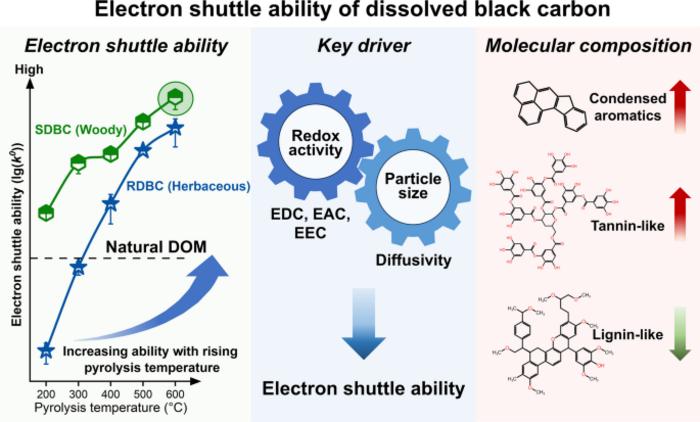 Electron transfer kinetics and molecular structural basis of dissolved black carbon as an electron shuttle