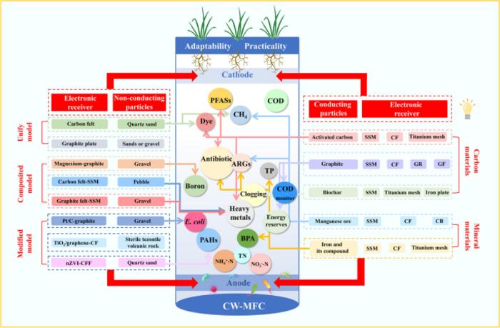 The electrode strategy and its coordination mechanism in constructed wetland-microbial fuel cell (CW-MFC): a review