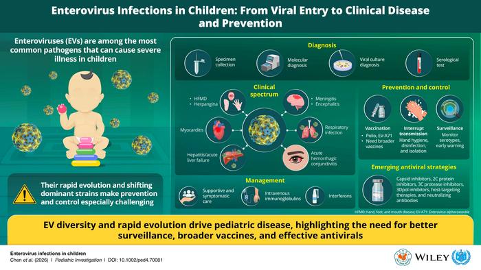 Enterovirus Infections in Children: From Viral Entry to Clinical Disease and Prevention