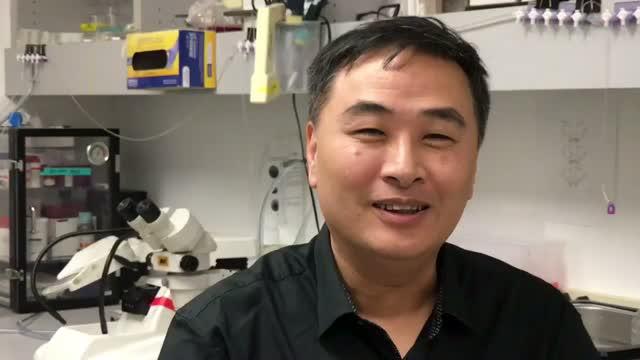 SBP's Huaxi Xu, Ph.D., Talks About the How the SORLA Gene Protects Against Alzheimer's