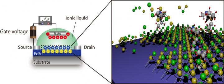 Schematic of Electric-Double-Layer Transistor Device and Electrochemical Reaction on FeSe Surface