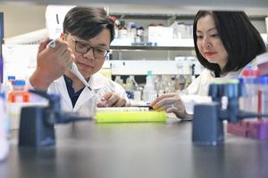 Dr. Thuy Dang