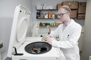 Professor Stephen Wallace