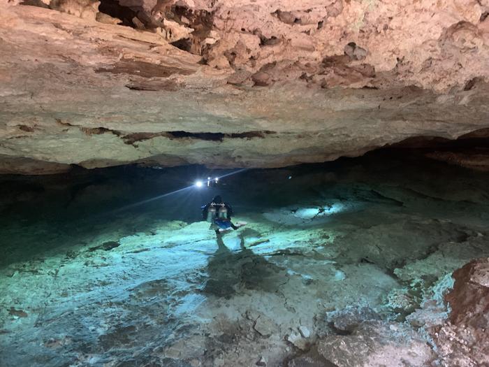 The cenotes where Typhlatya  shrimps occur