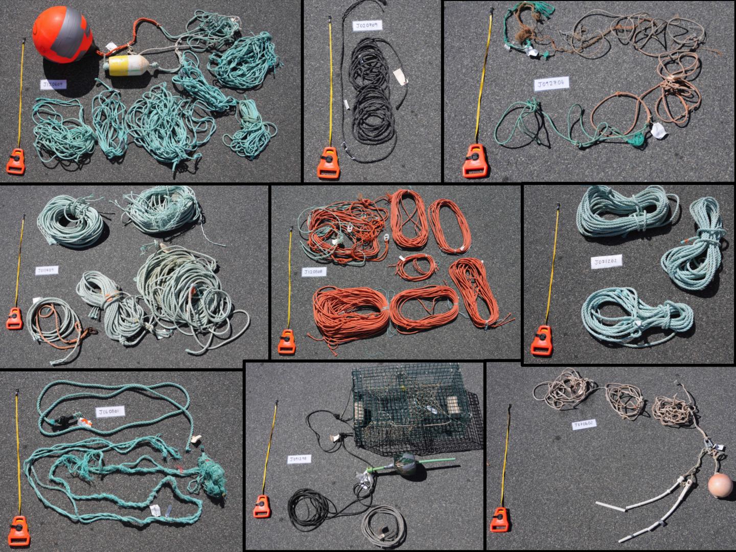 Fishing Gear
