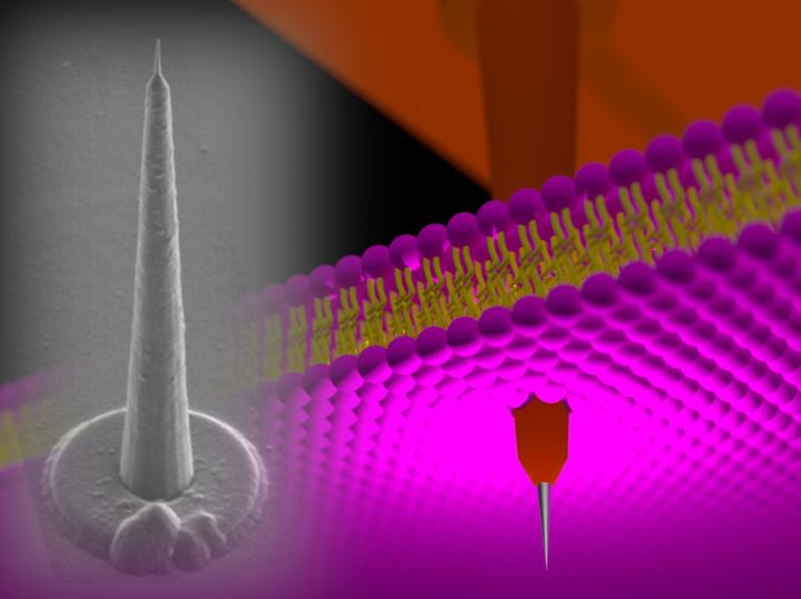Nanotower
