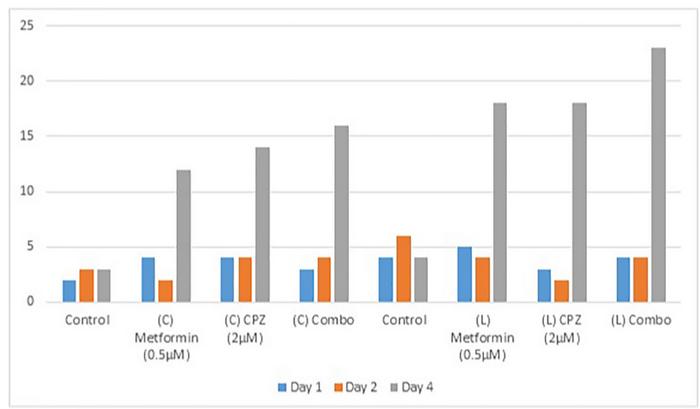 Bridging clinical insight and laboratory model in high-grade serous ovarian carcinoma (HGSOC) using DNA sequencing-based profiling of TP53