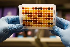 Chemists find Antimalarial in Soil Microbes