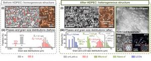 Microstructural Evolution Induced by High-Density Pulsed Electric Current (HDPEC)