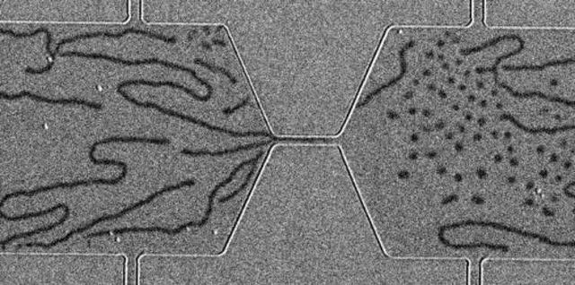 Blowing Magnetic Skyrmions into Shape