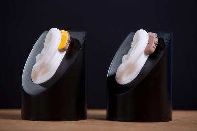 Hearing Instrument