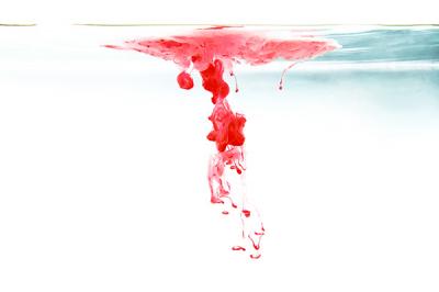 Blood