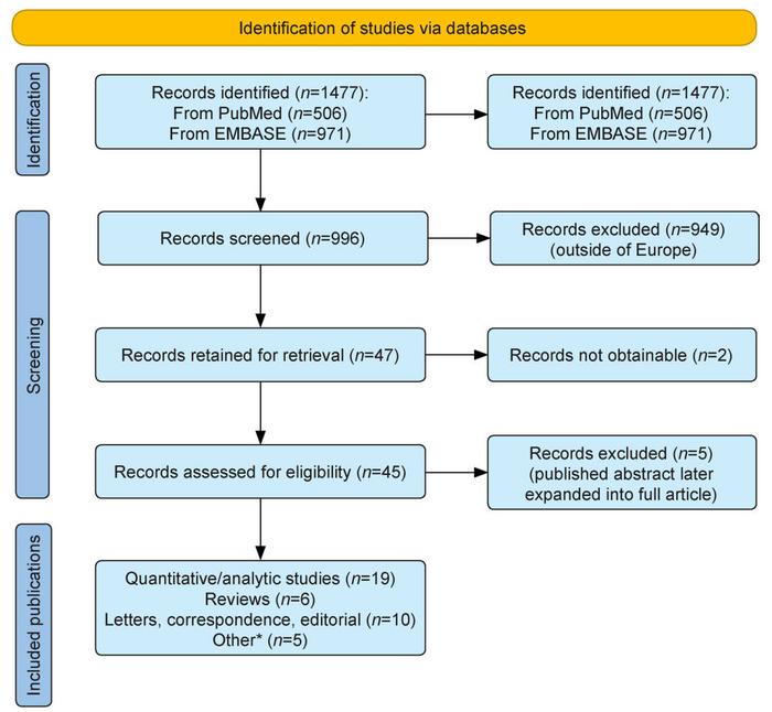 Flow diagram of the scoping review
