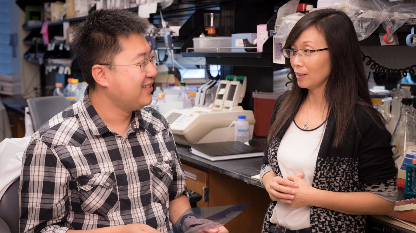 Gladstone Scientists Li Gan and Chao Wang