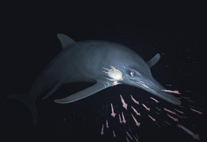 Reconstruction of  Temnodontosaurus cf. trigonodon
