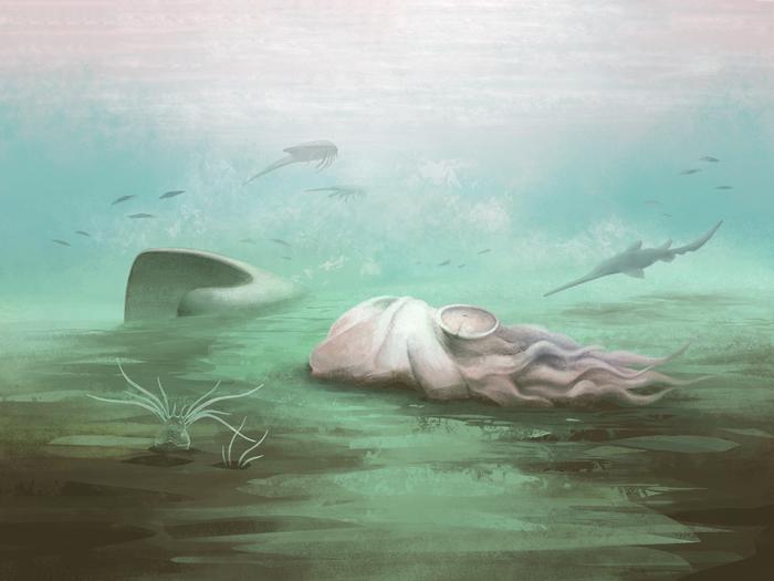 Reconstruction of Pohlsepia mazonensis