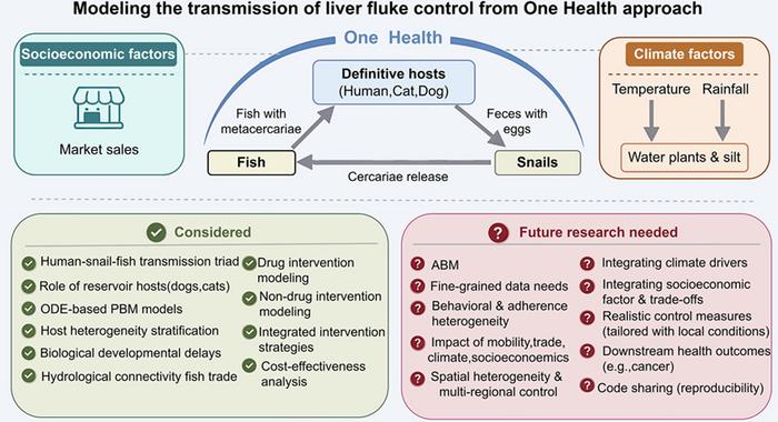 Mapping the Liver Fluke Transmission Network: Key Factors and Research Gaps for Effective One Health Control