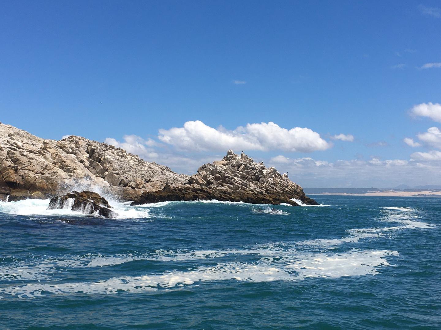 The Algoa Bay (South Africa) is a Biodiversity Hotspot.