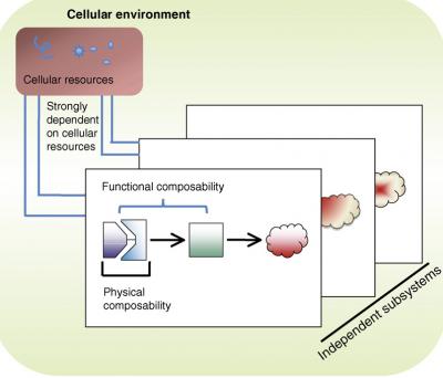Synthetic Biocircuits