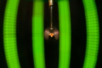 Fruit Fly -- Arena