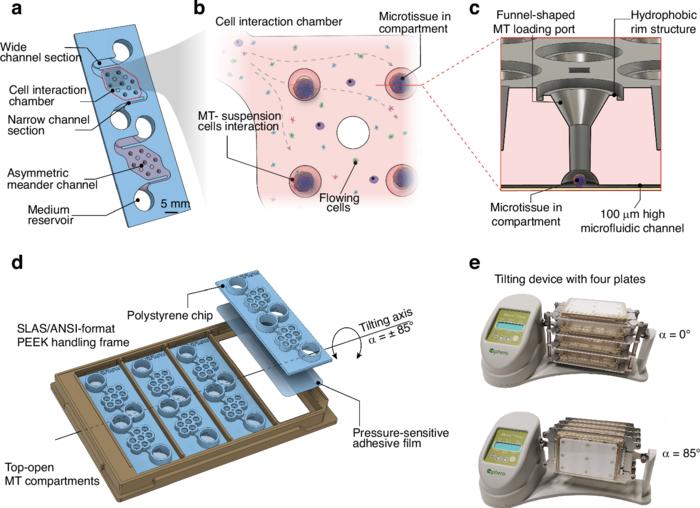 The hiFlow in vitro platform.