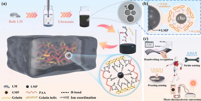 Biomolecule-mediated stabilization of liquid metal for multifunctional hydrogel electronics