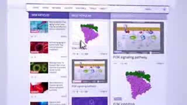 Lymphoma Hub